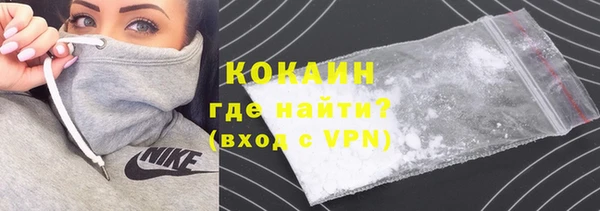 крисы Няндома