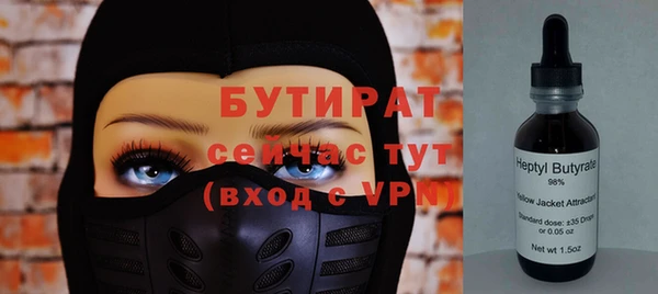 крисы Няндома