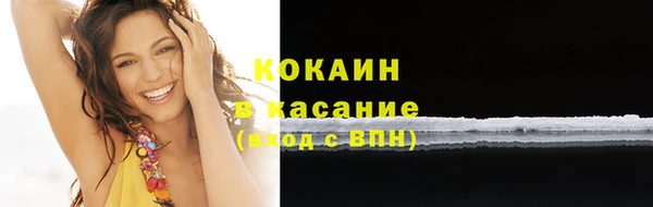 крисы Няндома