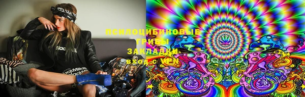 PSILOCYBIN Богданович