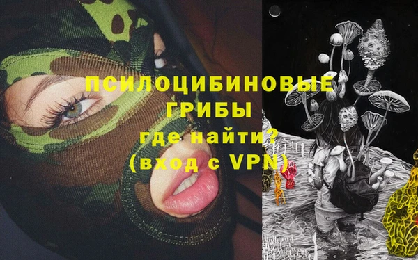 крисы Няндома