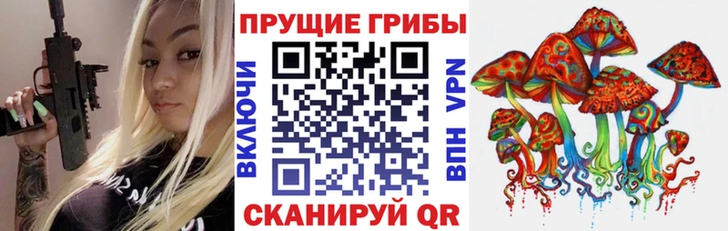 Псилоцибиновые грибы Psilocybine cubensis  маркетплейс официальный сайт  Подольск  как найти наркотики 