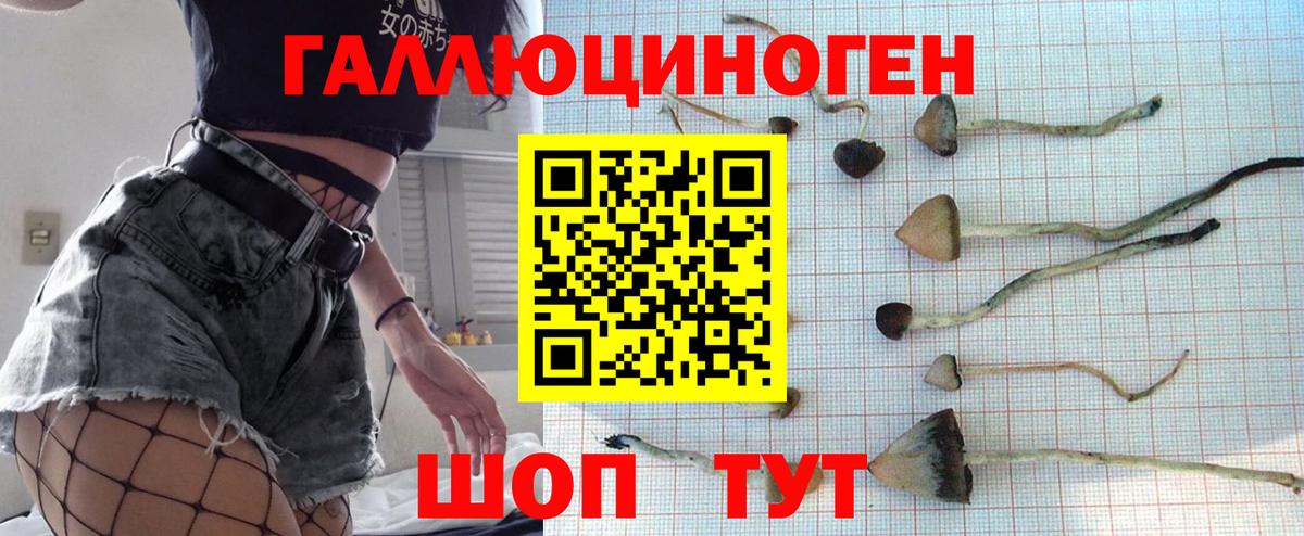 Псилоцибиновые грибы GOLDEN TEACHER  Вход с VPN  Подольск 